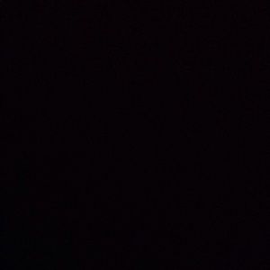 Meet your Posher, Rodney